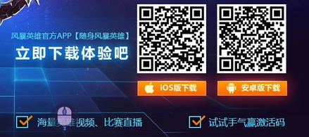 误造手游和从哪买激活码,快速响应策略解析 7DM1_v2.943