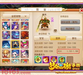 宠物精灵手游和霸王大陆官方下载,快速实施解答策略 XR_v3.839