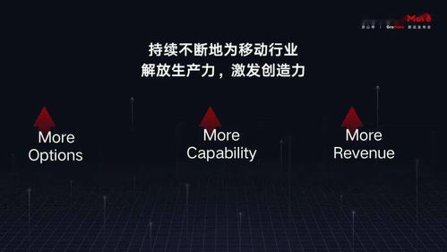 开迅视频版本演进简史，从经典到精英款v2.731