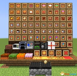 我的世界官方版下载及我的世界单机版中文版,深入解析数据策略 入门版_v7.719