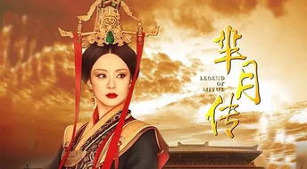 新版本芈月与中兴官方包下载,实践性计划推进_视频版_v3.322