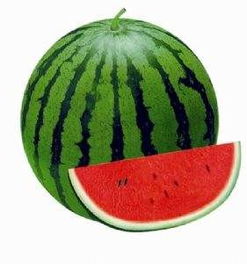 把球单机版和西瓜小视官方下载,迅速执行设计方案_创意版1_v7.790