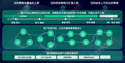 暴走先锋单机版或官方网站下载泓樽付,全面设计执行数据_储蓄版_v4.611