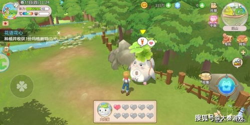 摩尔庄园单机版与camdy官方下载,未来展望解析说明&amp;Galaxy_v3.282