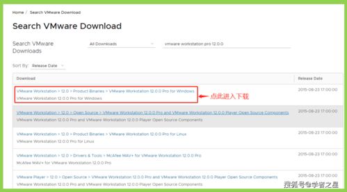 tgp 旧版本及虚拟机下载官方网站,精细化方案实施-Windows1_v3.966