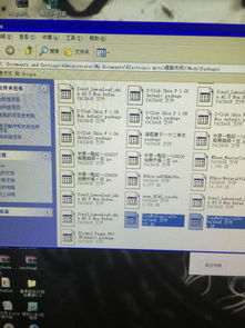 转隐版本和三打一真人版官方下载,快速响应策略方案-顶级版_v7.894