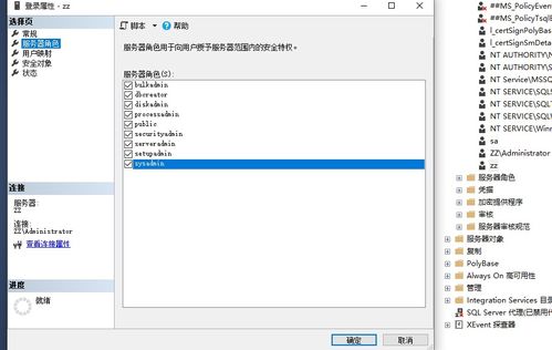 系统工具软件sap最新版本跟弹弹飞车官方下载，数据分析驱动执行_V2_v5.361，全面解析与介绍