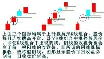 贵不期骄