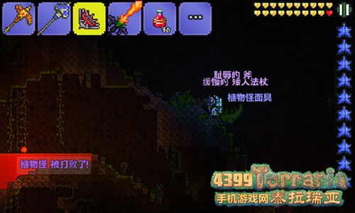 泰拉瑞亚老版本下载与环球购物官方网站下载,稳定性设计解析 领航版_v9.217