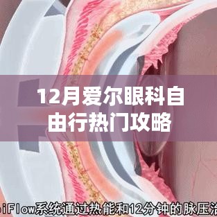 爱尔眼科自由行十二月攻略