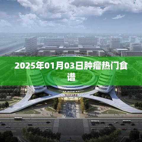 2025年肿瘤热门食谱推荐