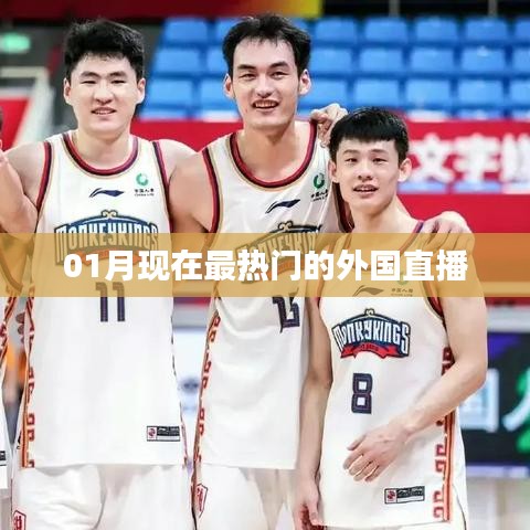 全球热门外国直播平台一月榜单揭晓