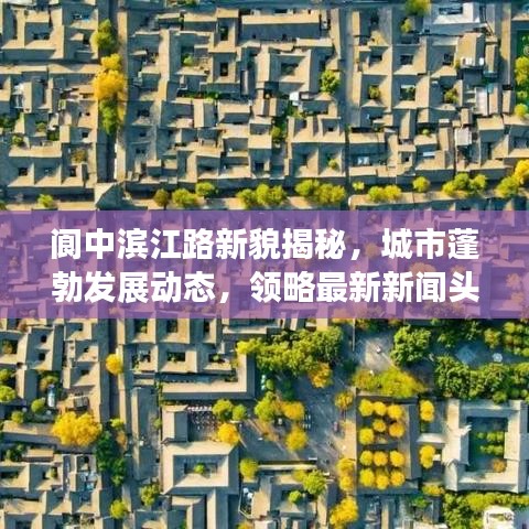 阆中滨江路新貌揭秘，城市蓬勃发展动态，领略最新新闻头条