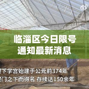 临淄区今日限号通知最新消息