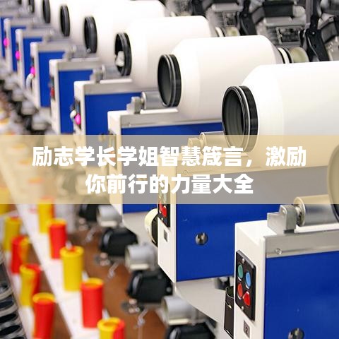 励志学长学姐智慧箴言,激励你前行的力量大全