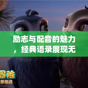 励志与配音的魅力，经典语录展现无穷力量