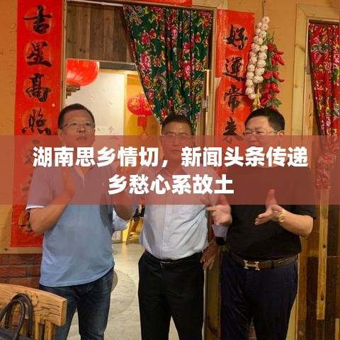 湖南思乡情切,新闻头条传递乡愁心系故土