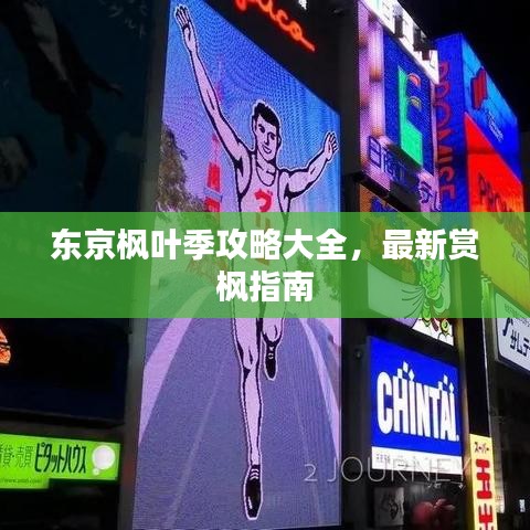 东京枫叶季攻略大全，最新赏枫指南