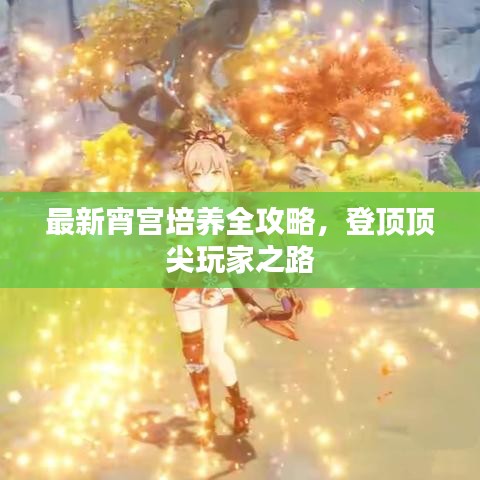 最新宵宫培养全攻略，登顶顶尖玩家之路