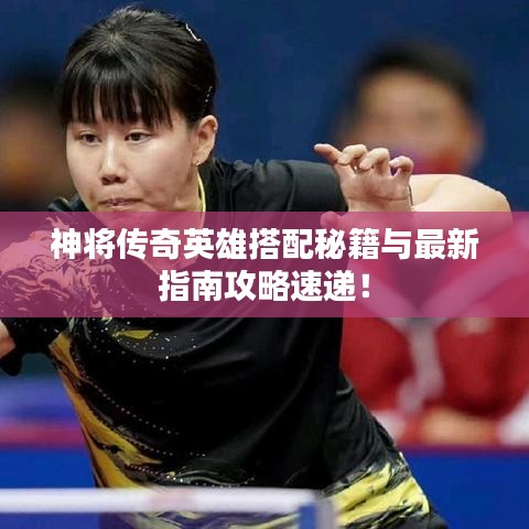 神将传奇英雄搭配秘籍与最新指南攻略速递！