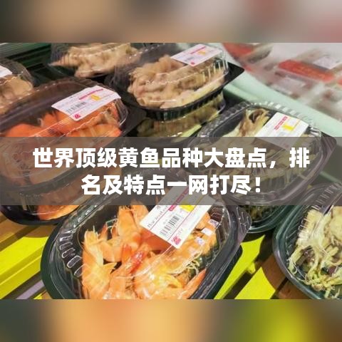 世界顶级黄鱼品种大盘点,排名及特点一网打尽!