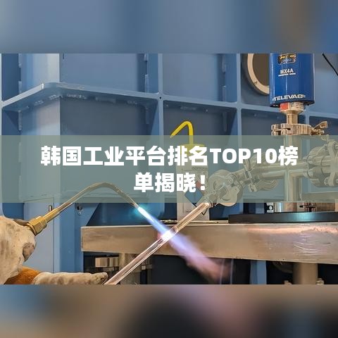 韩国工业平台排名TOP10榜单揭晓!
