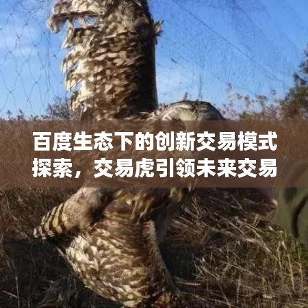 百度生态下的创新交易模式探索,交易虎引领未来交易潮流