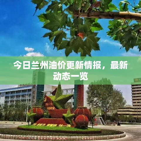 今日兰州油价更新情报,最新动态一览