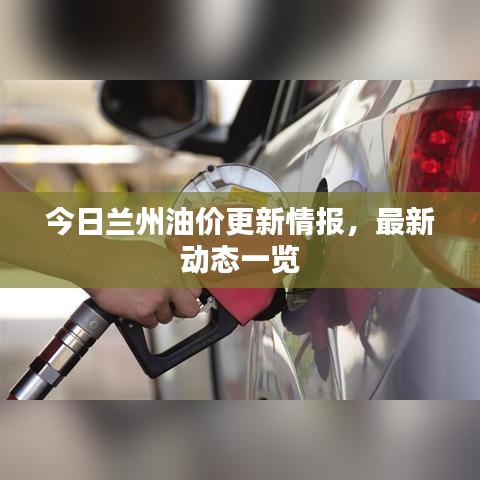 今日兰州油价更新情报,最新动态一览
