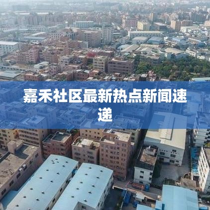 嘉禾社区最新热点新闻速递