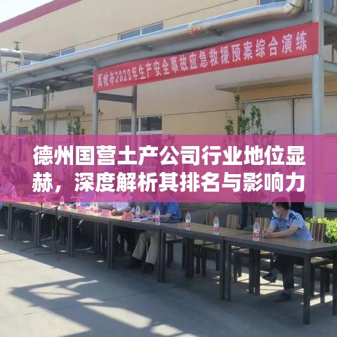 德州国营土产公司行业地位显赫,深度解析其排名与影响力