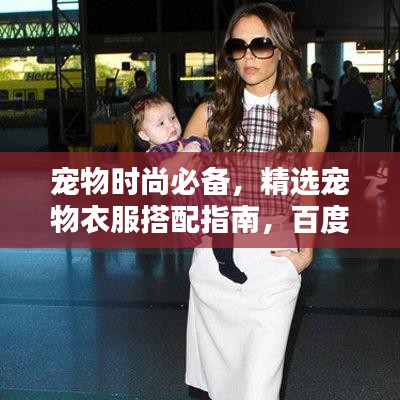 宠物时尚必备,精选宠物衣服搭配指南,百度收录标准标题