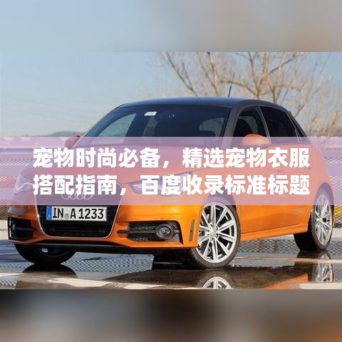 宠物时尚必备,精选宠物衣服搭配指南,百度收录标准标题
