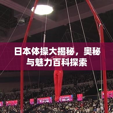 日本体操大揭秘,奥秘与魅力百科探索