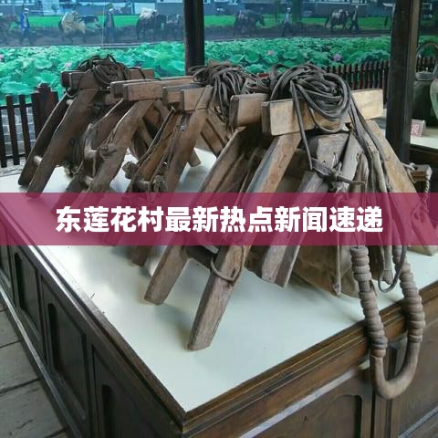 东莲花村最新热点新闻速递