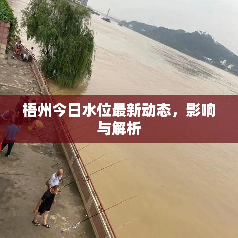 金石为开 第4页