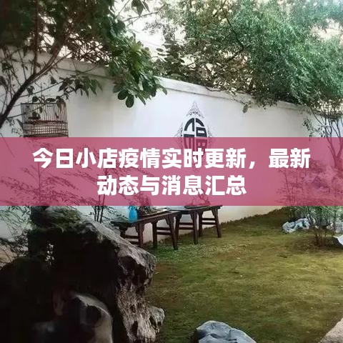 今日小店疫情实时更新，最新动态与消息汇总