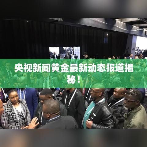 央视新闻黄金最新动态报道揭秘!
