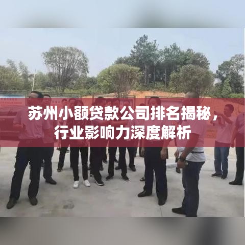 苏州小额贷款公司排名揭秘,行业影响力深度解析
