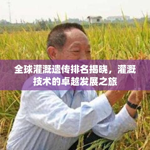 全球灌溉遗传排名揭晓，灌溉技术的卓越发展之旅