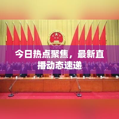今日热点聚焦,最新直播动态速递