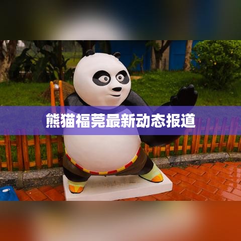 熊猫福莞最新动态报道