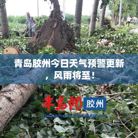 青岛胶州今日天气预警更新,风雨将至!