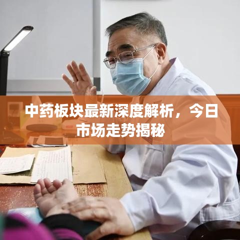 中药板块最新深度解析,今日市场走势揭秘