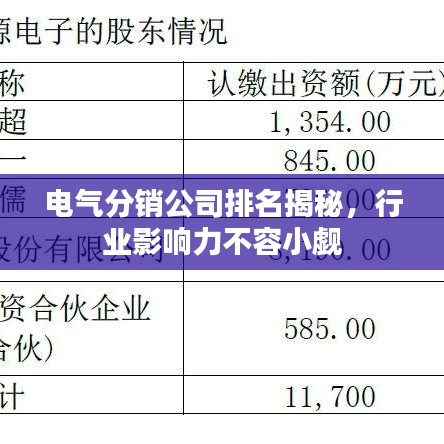 电气分销公司排名揭秘,行业影响力不容小觑
