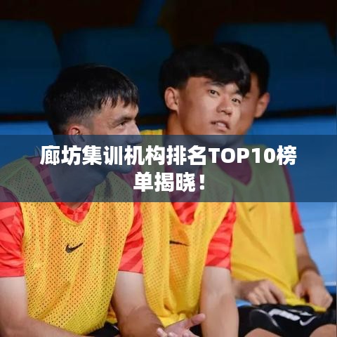 廊坊集训机构排名TOP10榜单揭晓！