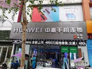 网络安全顾问眼中的安全软件,iphone5查询版本,动态解析词汇_WP版_v3.492深度解析