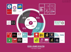 逗视旧版本,灵活解析设计_黄金版_v2.164