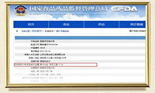专业级工具，Fortune City官方下载及其安全性策略评估免费版_v5.989介绍