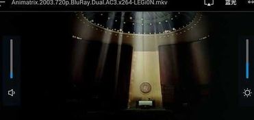 ssbox官方下载,深入数据解释定义-动态版_v9.352